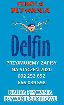 http://www.delfin.kartuzy.pl/